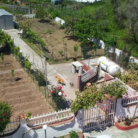 Dei Principi Torrenova (Sicily)